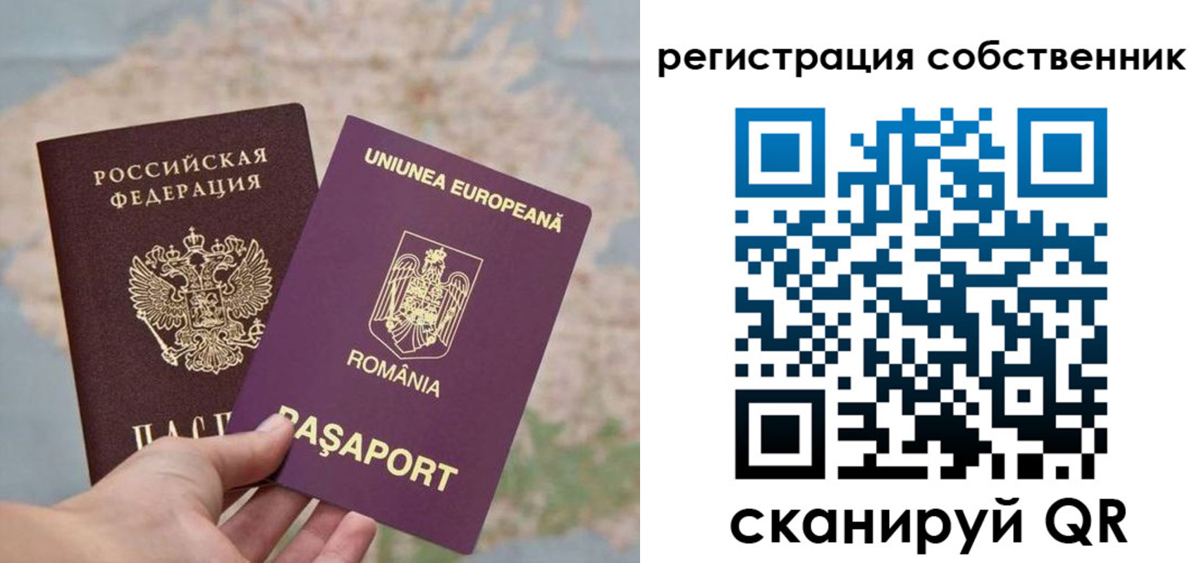 временная регистрация гарантия в Торжоке